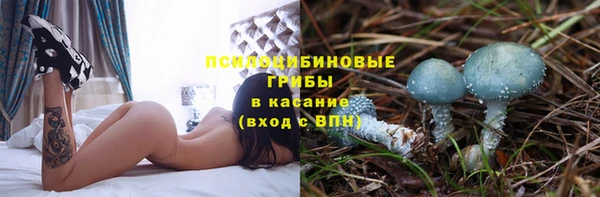 бутират Дмитровск